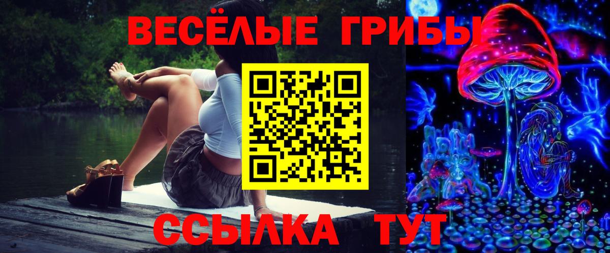 Псилоцибиновые грибы Psilocybe  Вход с VPN  Котовск  Галлюциногенные грибы прущие грибы 